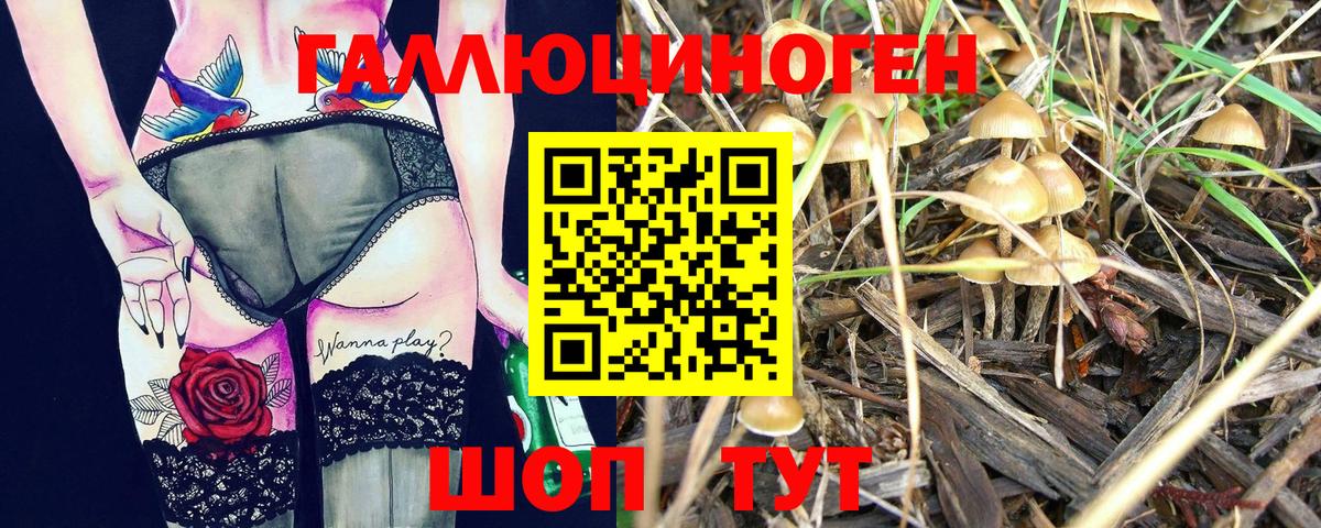 Псилоцибиновые грибы Psilocybe Аксай