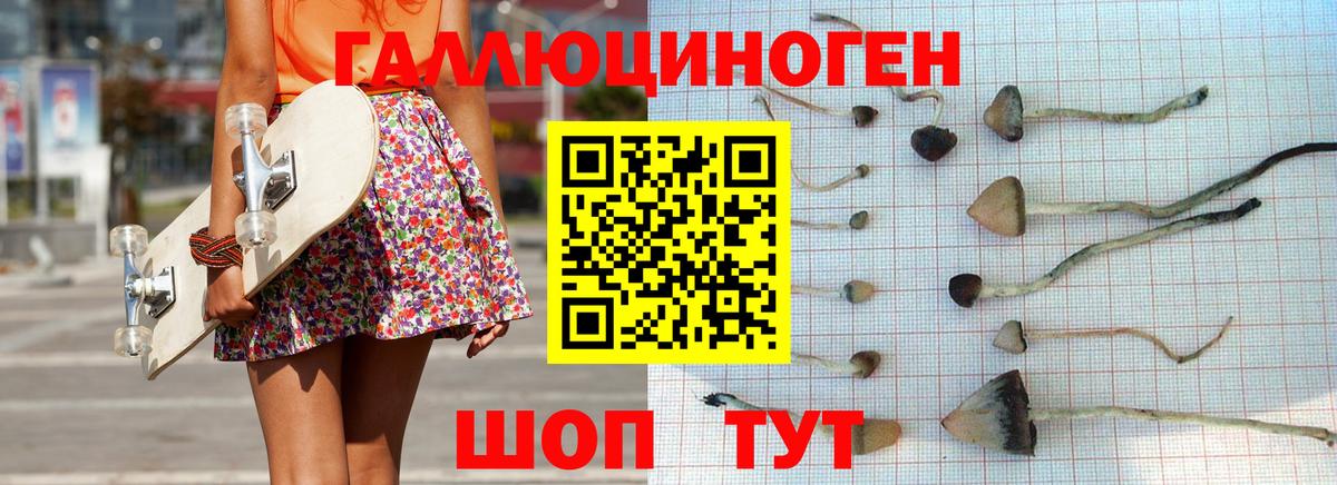 Псилоцибиновые грибы прущие грибы  Вход с VPN  магазин    Аксай 