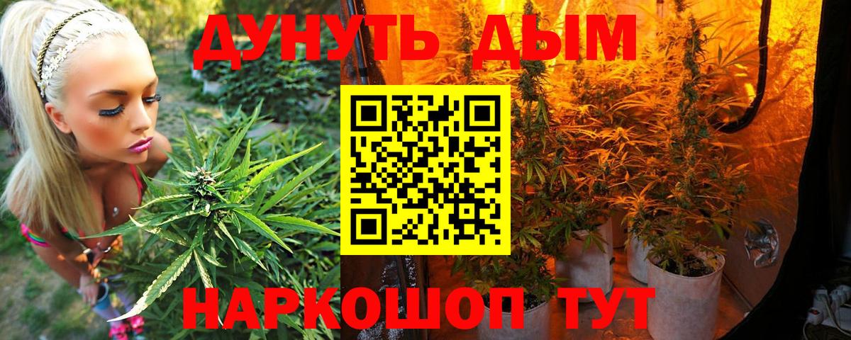 Каннабис ГИДРОПОН Аксай